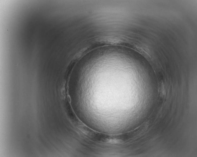 X0000069380360200605262056