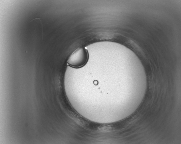 X0000069380362200605262056