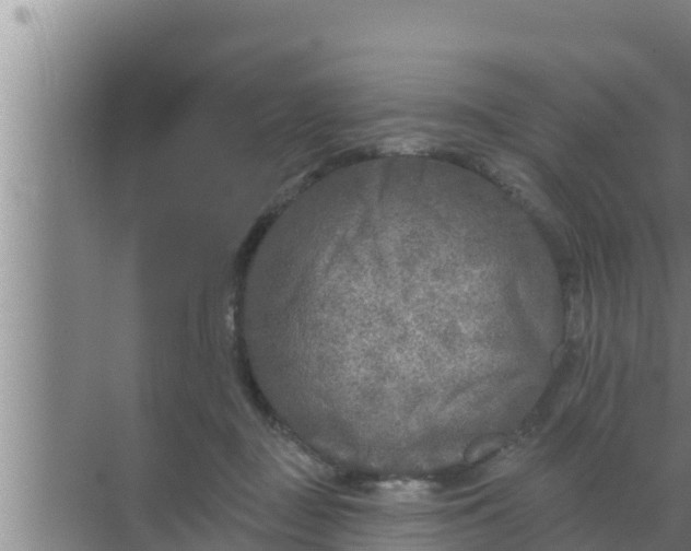 X0000069380363200605262056