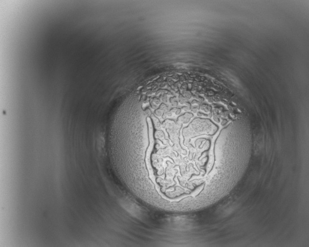 X0000069380365200605262056