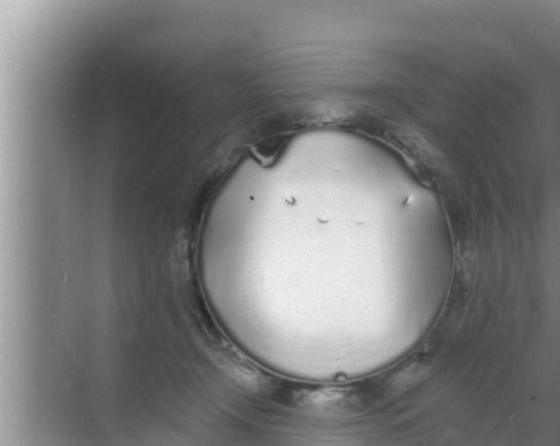 X0000069380366200605262056