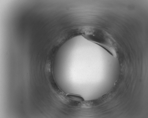 X0000069380368200605262056