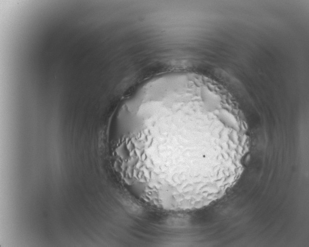 X0000069380369200605262056