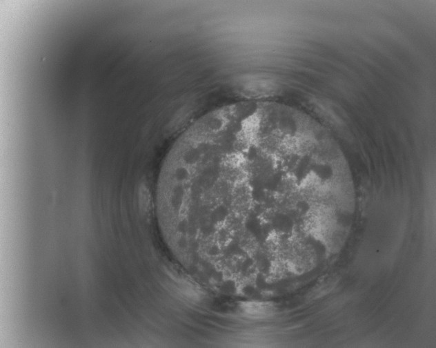 X0000069380371200605262056