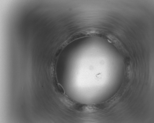 X0000069380372200605262056