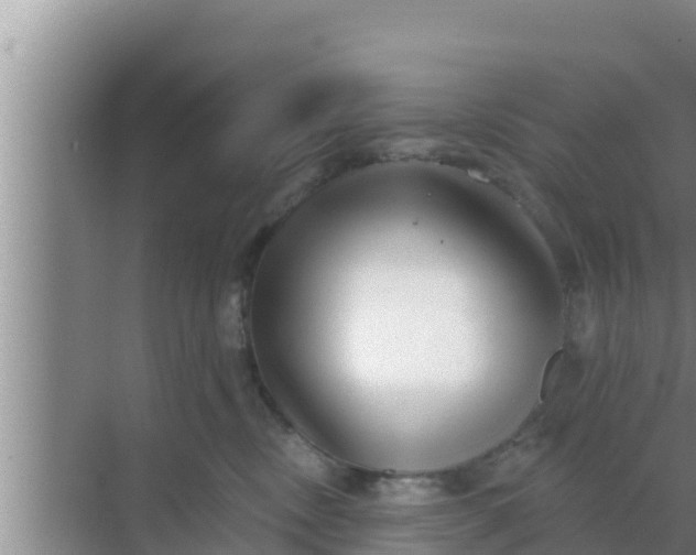 X0000069380378200605262057