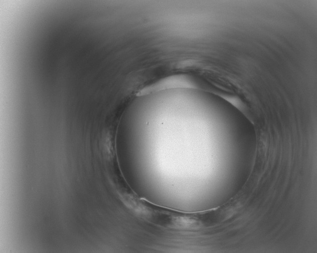 X0000069380380200605262057