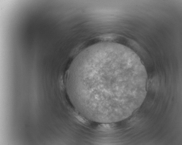 X0000069380381200605262057