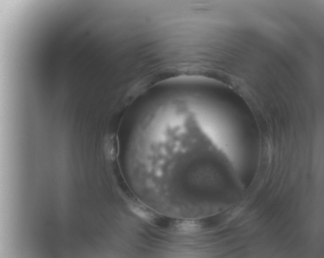 X0000069380383200605262057