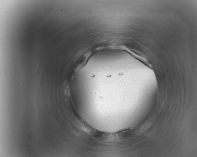 X0000069380384200605262057