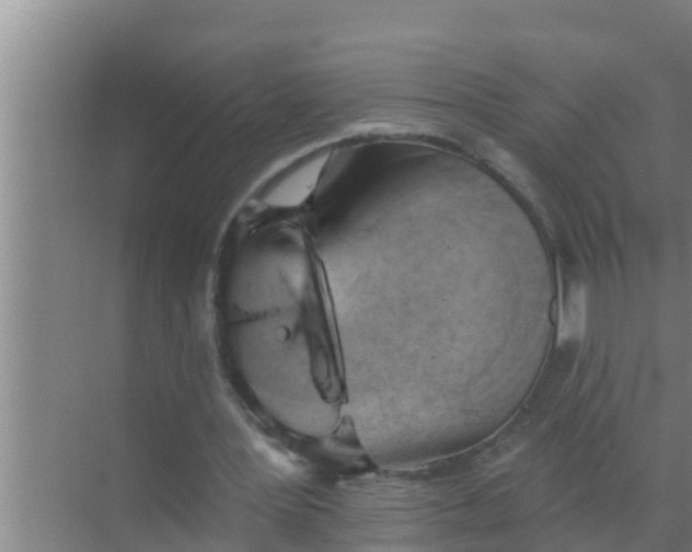 X0000069380387200605262056