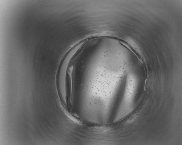 X0000069380389200605262056