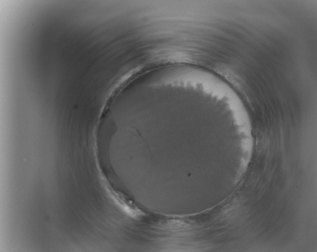 X0000069380390200605262056