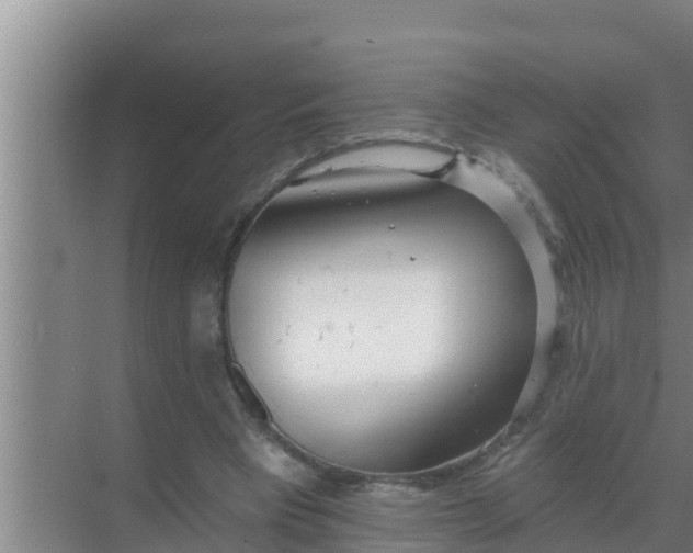 X0000069380393200605262056