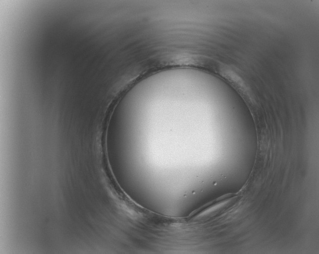 X0000069380394200605262056