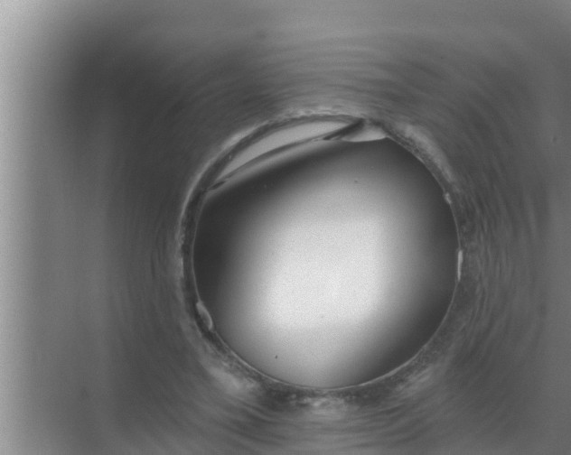 X0000069380395200605262056