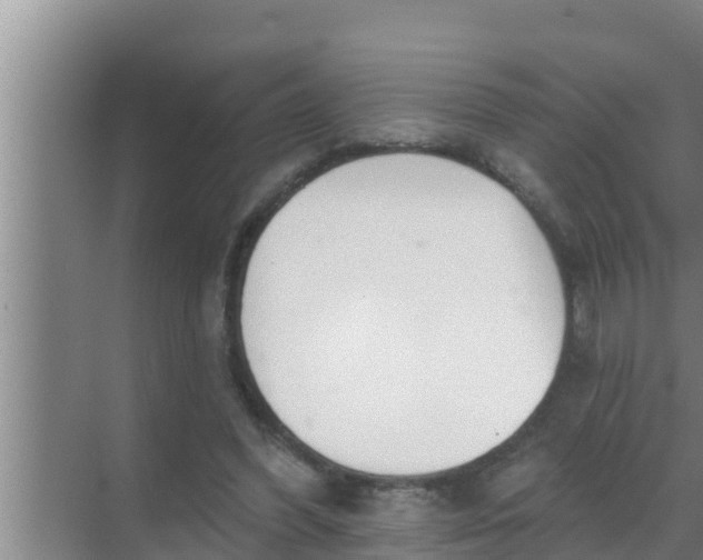 X0000069380396200605262056