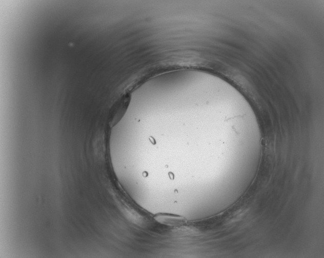 X0000069380397200605262056