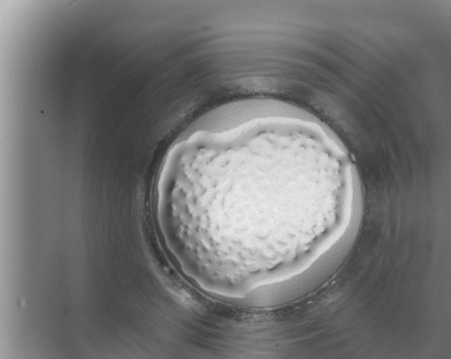 X0000069380398200605262056