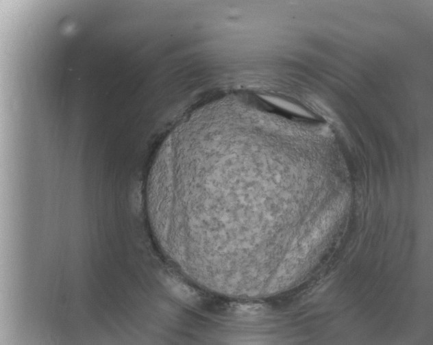 X0000069380401200605262056