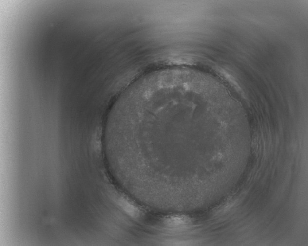 X0000069380402200605262056