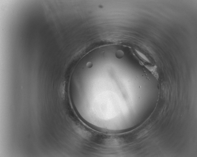 X0000069380404200605262056