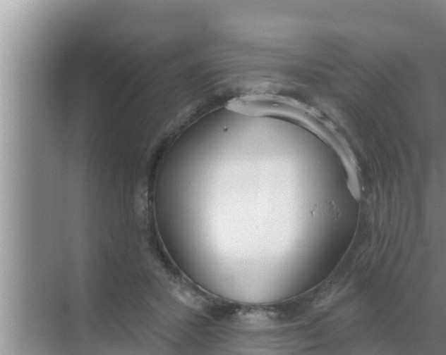 X0000069380407200605262056