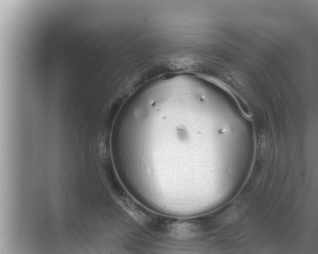 X0000069380408200605262055