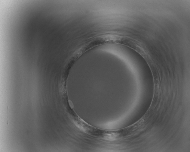 X0000069380411200605262055