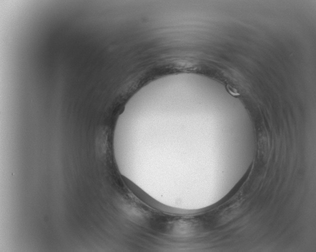 X0000069380412200605262055