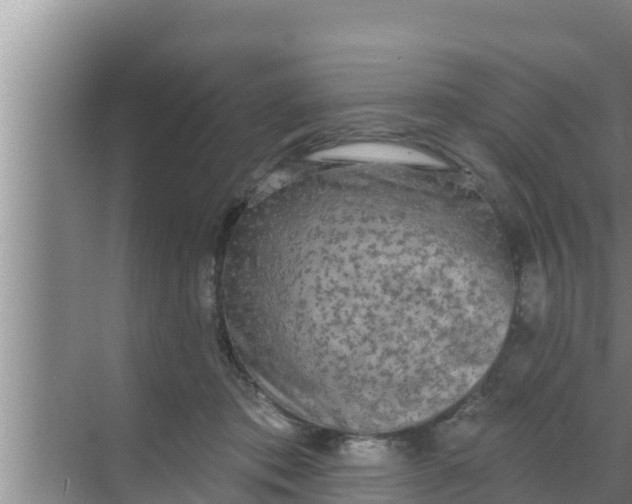 X0000069380413200605262055