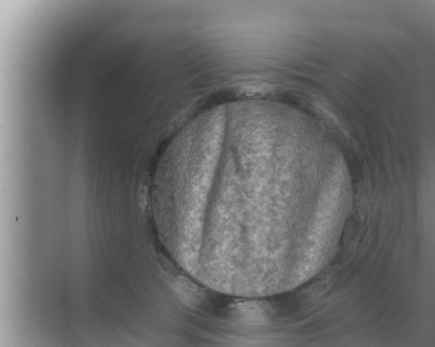 X0000069380417200605262055