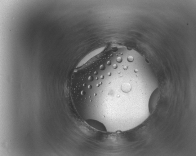 X0000069380420200605262055