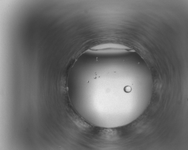 X0000069380421200605262055