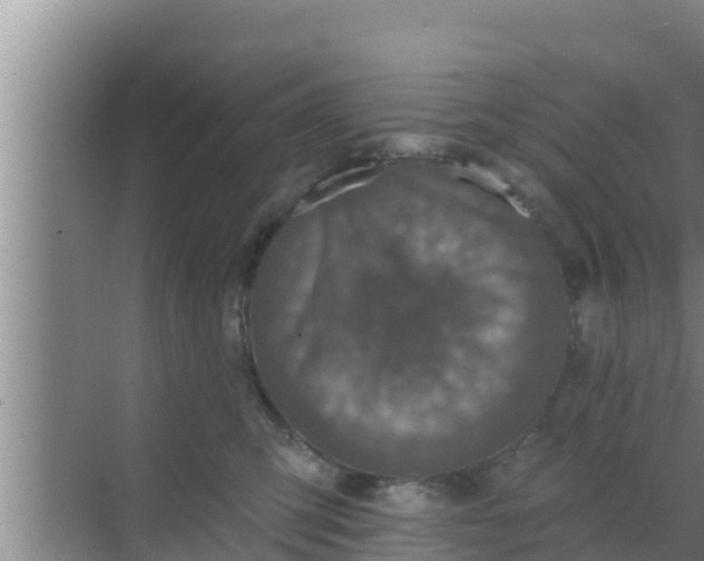 X0000069380423200605262055