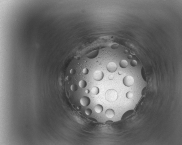 X0000069380424200605262055