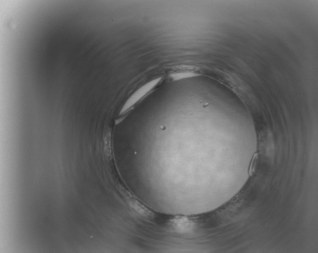 X0000069380425200605262055