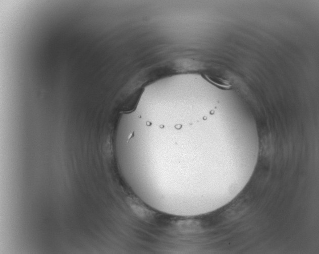 X0000069380426200605262055