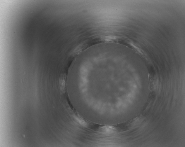 X0000069380427200605262055