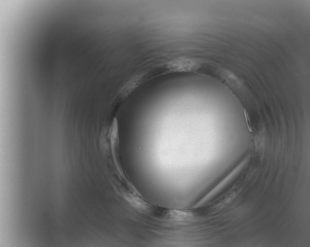 X0000069380429200605262055