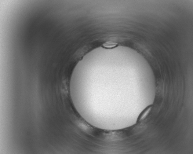 X0000069380430200605262055