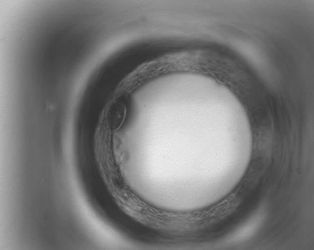 X0000069380431200605262055