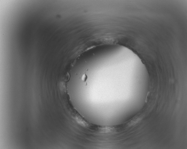 X0000069380432200605262055