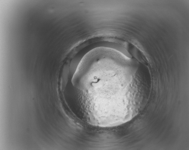 X0000069380434200605262054