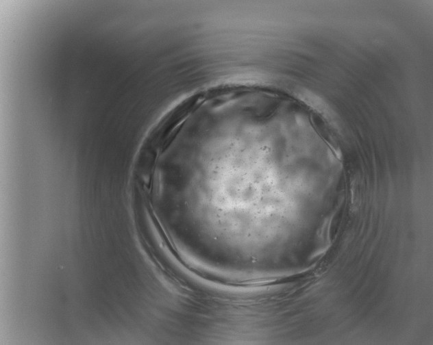 X0000069380436200605262054