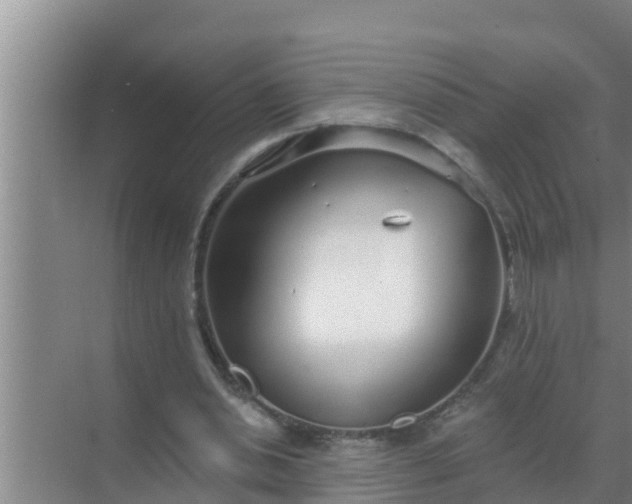 X0000069380438200605262054