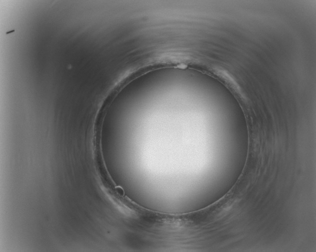 X0000069380439200605262054