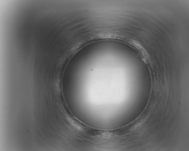 X0000069380441200605262054