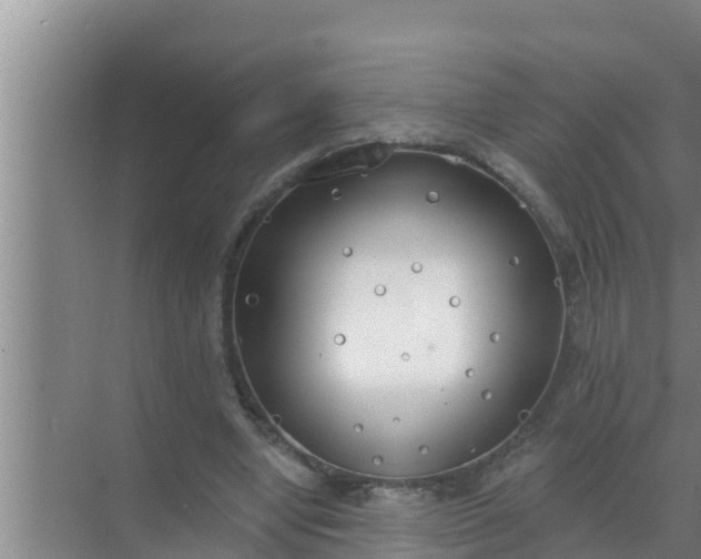 X0000069380442200605262054