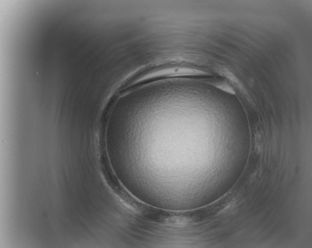 X0000069380444200605262054